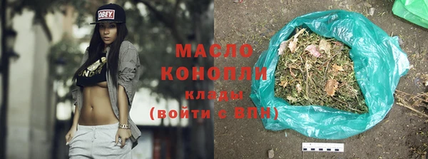 хмурый Гусь-Хрустальный