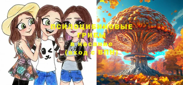 прущая мука Горнозаводск