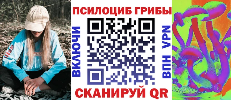 Псилоцибиновые грибы мицелий  Звенигород 